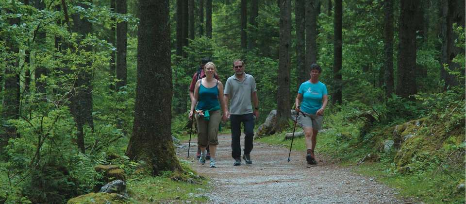 Austrian Lakes Walk - Utracks - Austria - Image 7