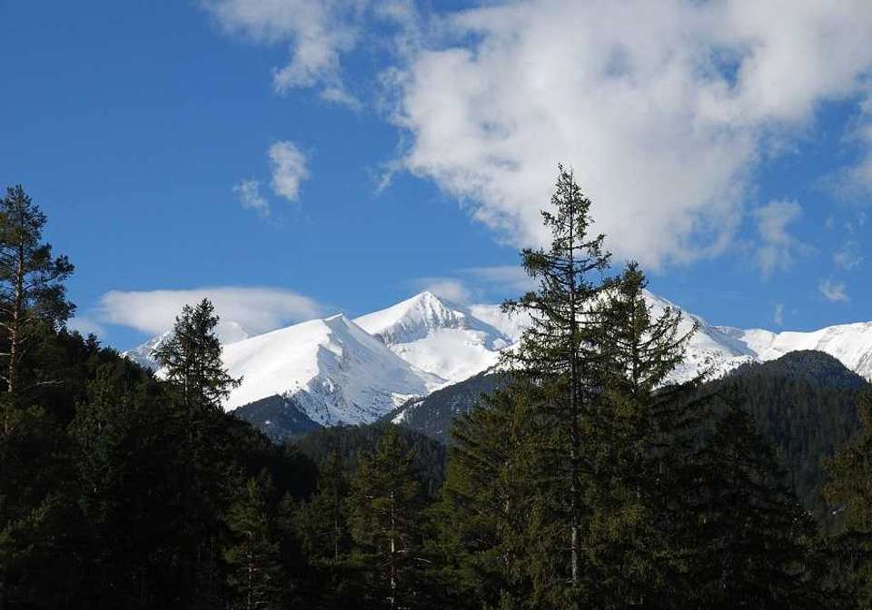 Image 2 of 7