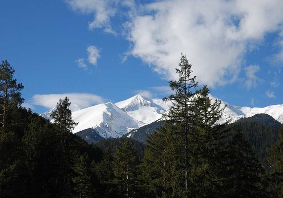 Image 2 of 7