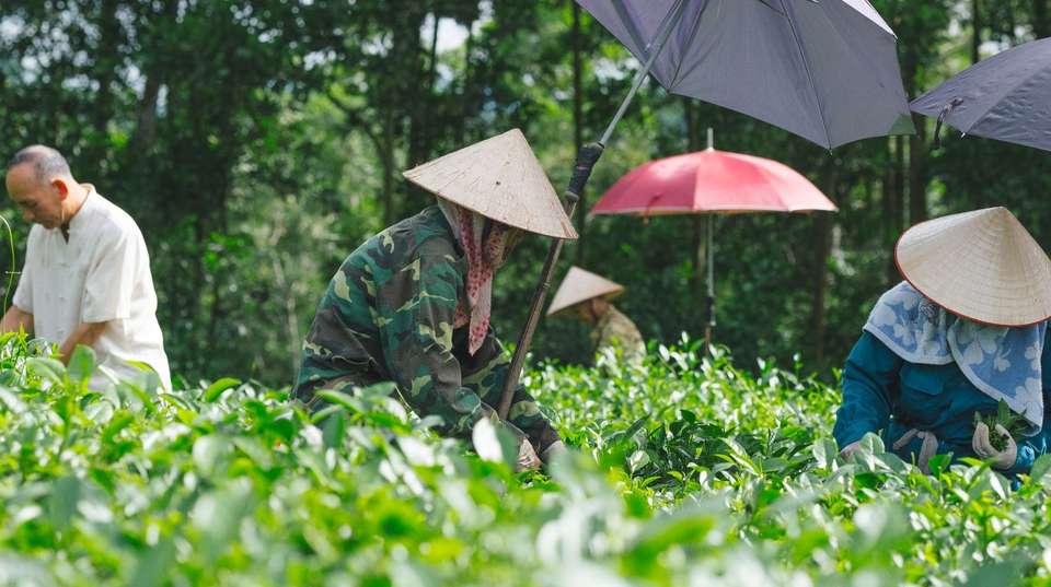 The Best of Cambodia and Vietnam in 14 Days - Realistic Asia - Cambodia - Image 5