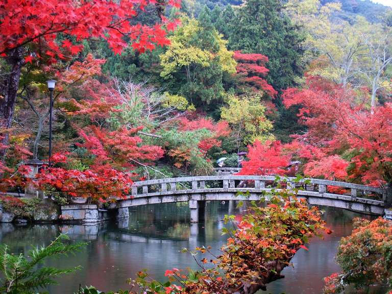 Autumn Leaves Highlight Tour of Japan(Small Group ) trip - alternative tour available