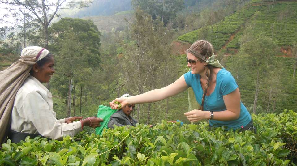 Awesome Places To Visit In Sri Lanka - undefined - Image 2