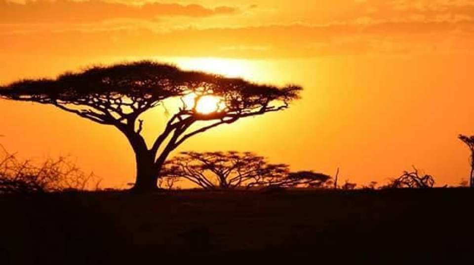7Day Safari Tarangire, Manyara,Serengeti&Ngorongo Camping - Anapa Travel Africa Tours - Tanzania - Image 2