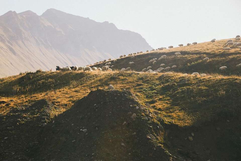 Azerbaijan & Georgia Experience - Intrepid Travel - Azerbaijan - Image 9