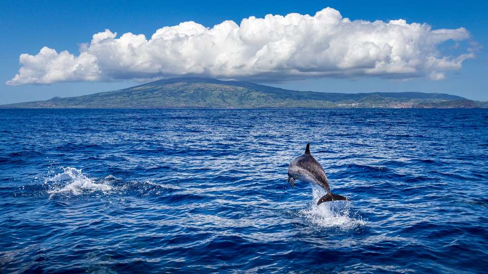 Azores Adventure - Exodus Adventure Travels - Portugal - Image 17