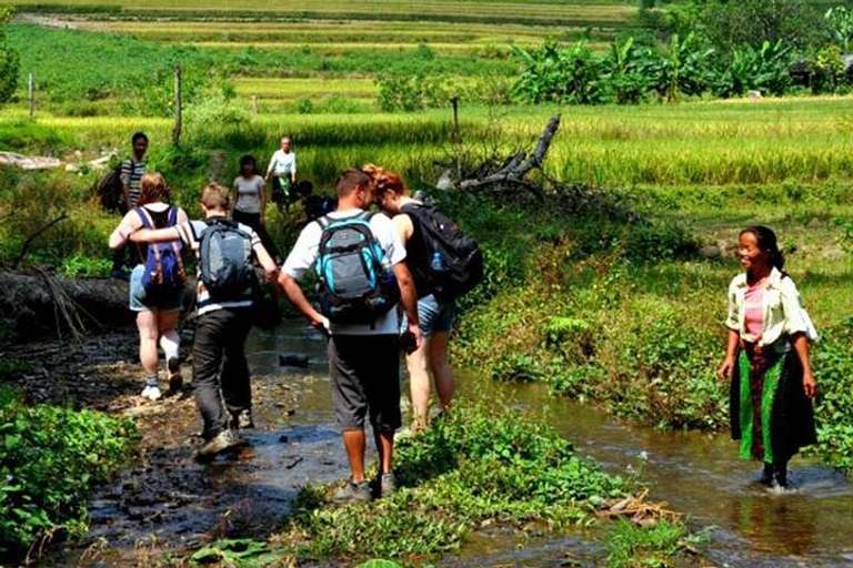 Ba Be National Park Trekking 1-day trip - alternative tour available