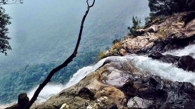 Bach Ma Hiking - 1 Day Private Tour trip - alternative tour available