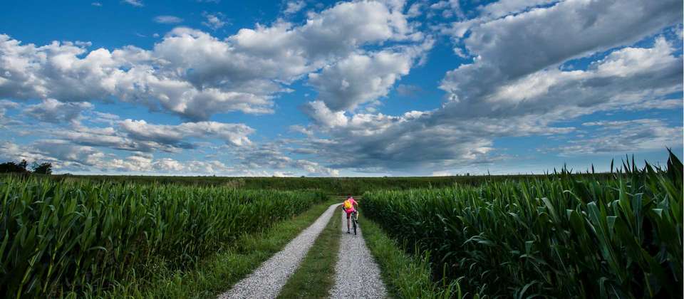 Backroads to Venice - Utracks - Italy - Image 4