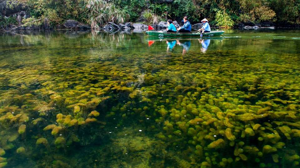 Bai Dinh & Trang An Eco Joining Tour With Mua Cave - Gray Line Vietnam - Vietnam - Image 7