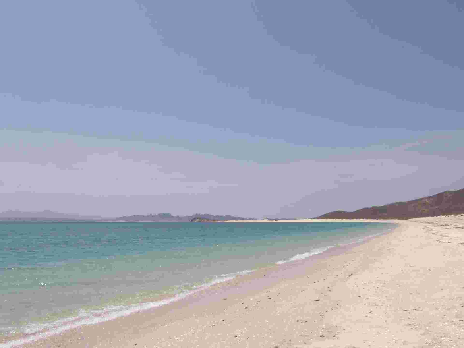 Baja California Sur Whale Quest & Discovery 5D/4N