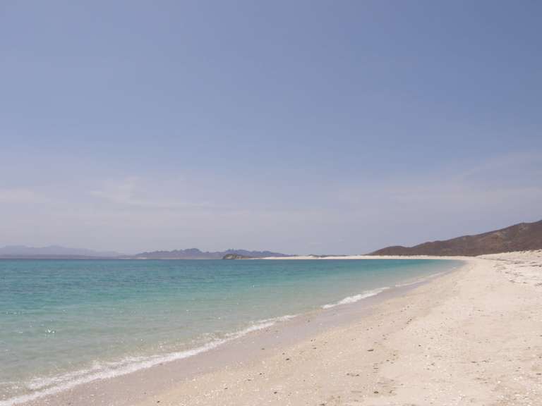 Baja California Sur Whale Quest & Discovery 5D/4N trip - alternative tour available