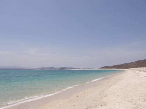 Mexico Group Tours: Baja California Sur Whale Quest & Discovery 5d/4n