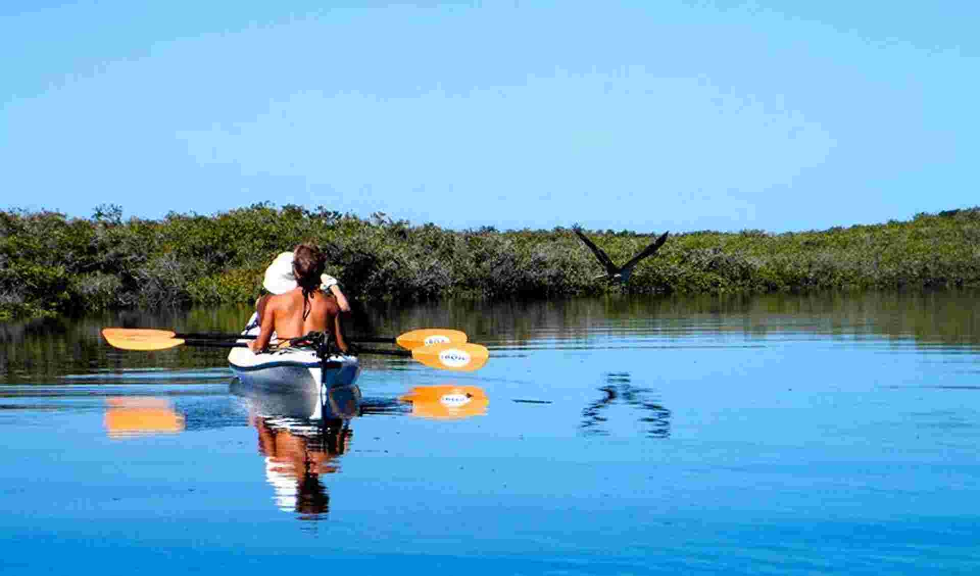 Baja Kayak Expedition 9D/8N (Fully Catered)