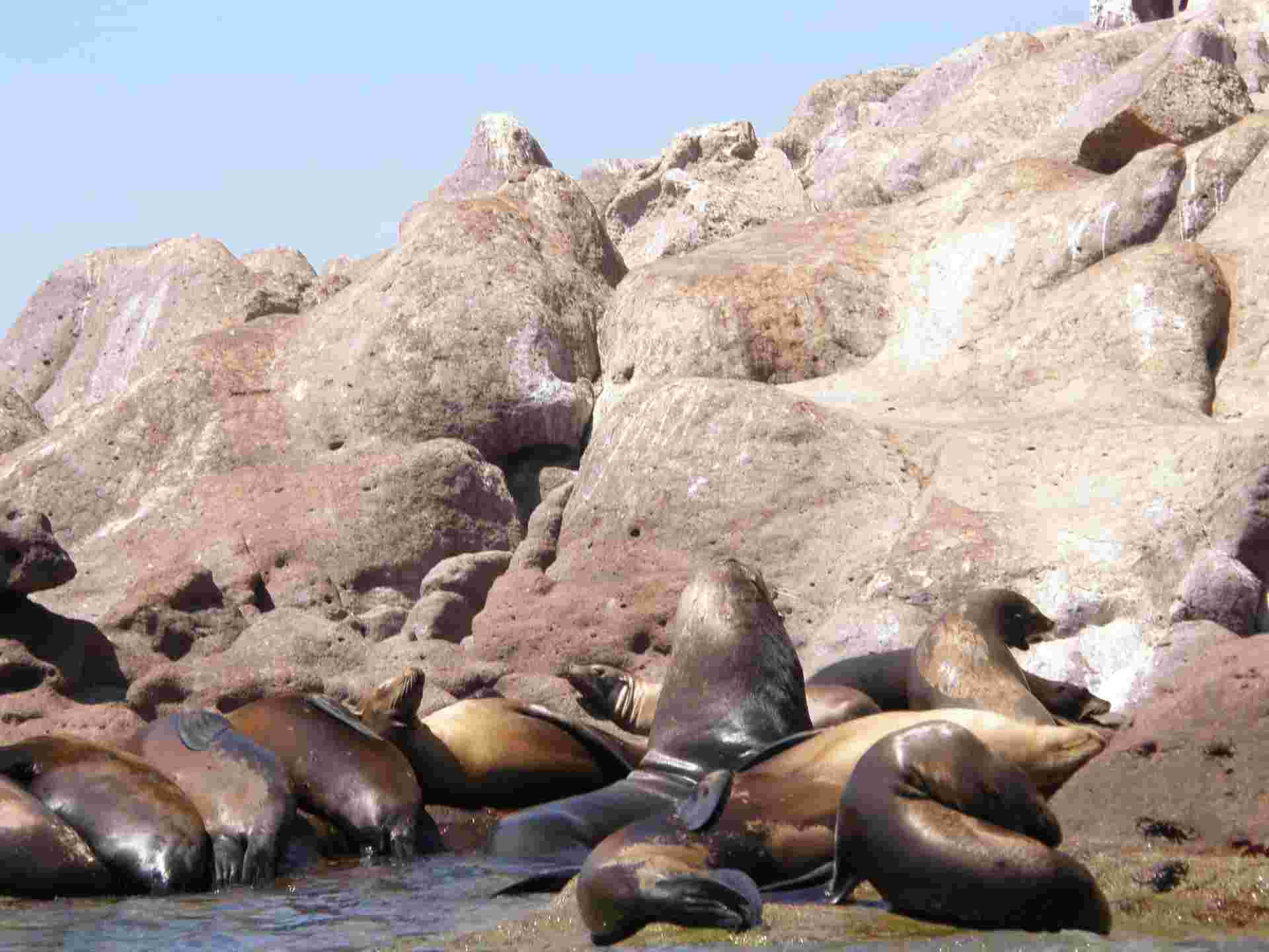 Baja's Beach Serenity & La Paz Cultural Voyage 4D/3N