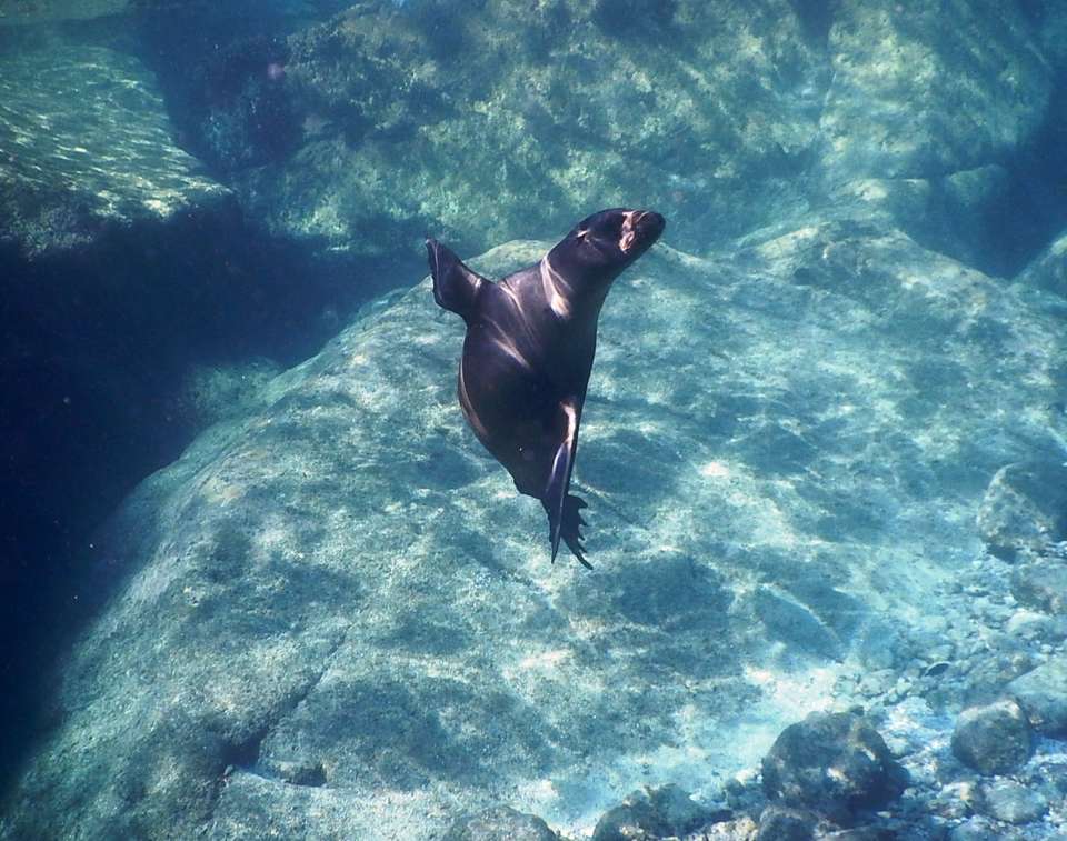 Baja's Beach Serenity & La Paz Cultural Voyage 4D/3N - undefined - Image 2