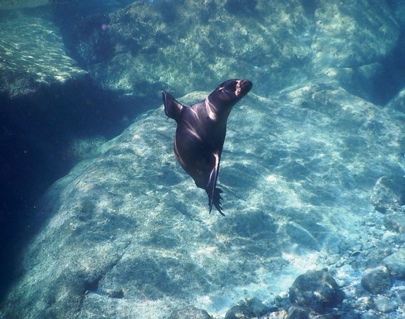 Image 4 of 5