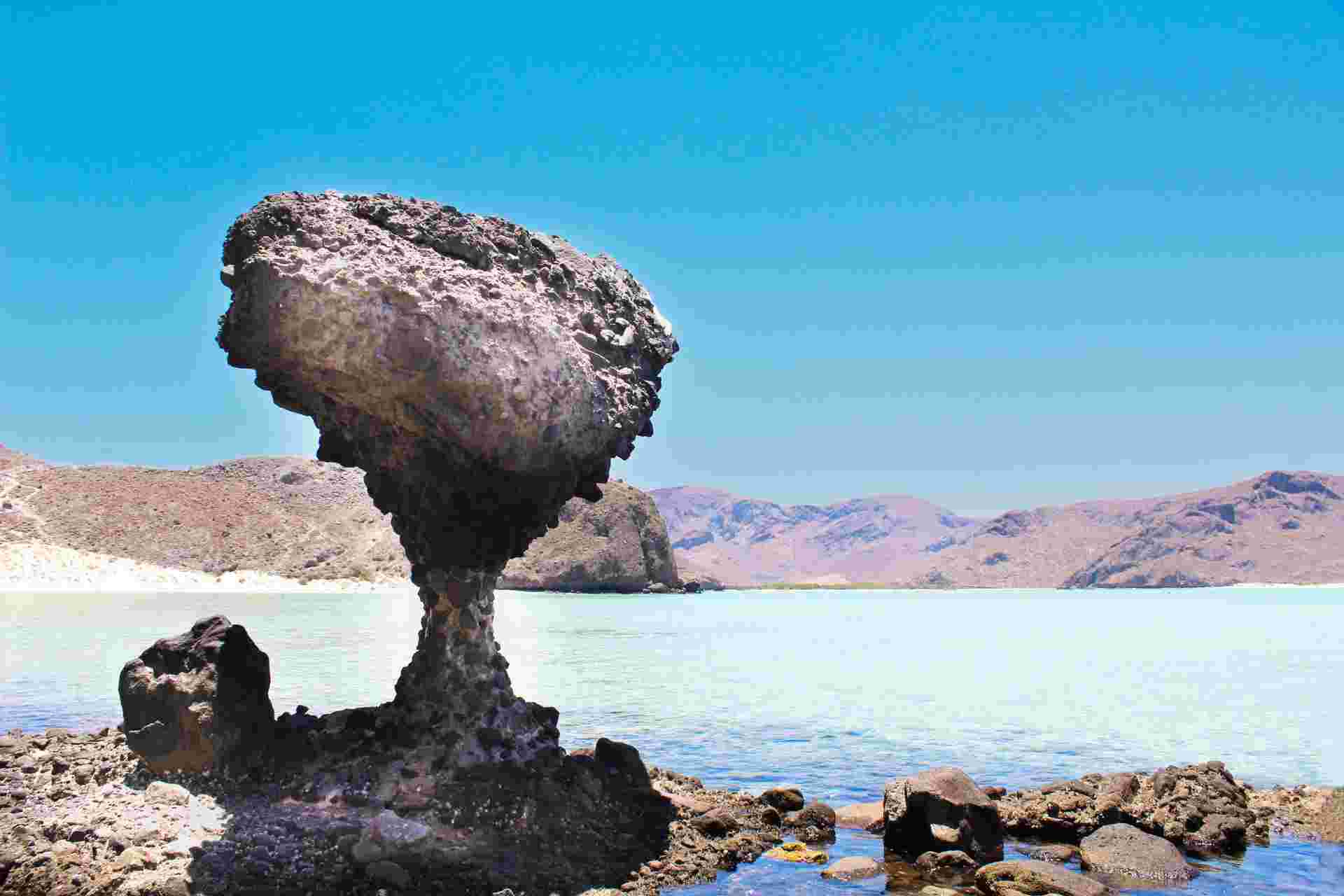 Baja's Ocean Giants: From La Paz to Los Cabos Quest 7D/6N