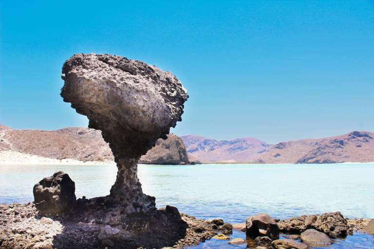 Baja's Ocean Giants: From La Paz to Los Cabos Quest 7D/6N trip - alternative tour available