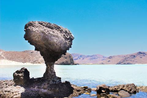 Mexico Group Tours: Baja's Ocean Giants: From La Paz To Los Cabos Quest 7d/6n