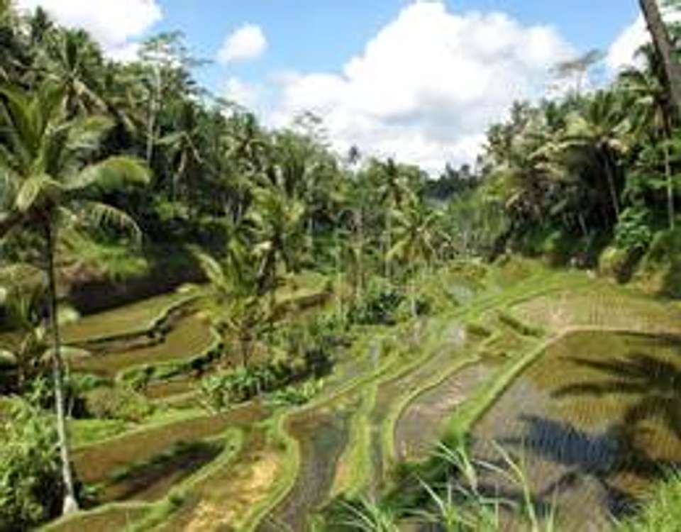 Bali Adventure - 12 days - On The Go Tours - Indonesia
