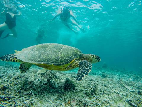 Indonesia Guided And Escorted Tours: Bali & Beyond