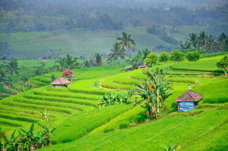 Bali & Gili Highlight, Private Tour - 12 days