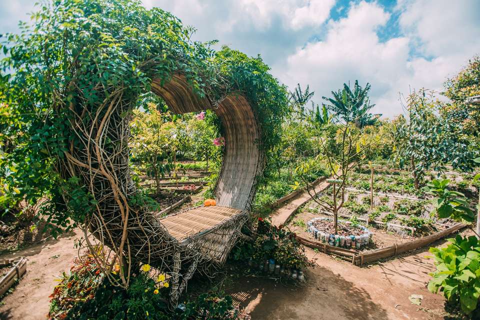 Bali and Komodo: Dragons, Rice Terraces & Cultural Ceremonies - G Adventures - Indonesia - Image 11