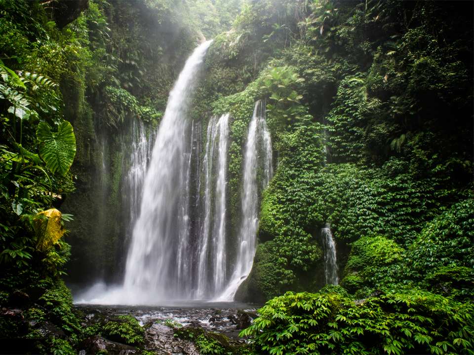Bali and Komodo: Dragons, Rice Terraces & Cultural Ceremonies - G Adventures - Indonesia - Image 12