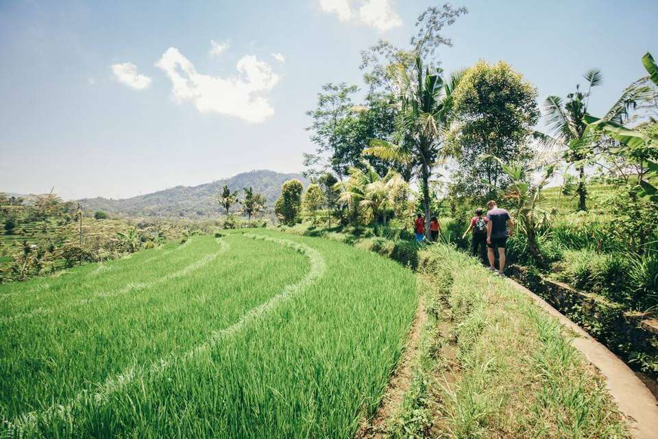 Bali & Lombok Adventure - Intrepid Travel - Indonesia - Image 5