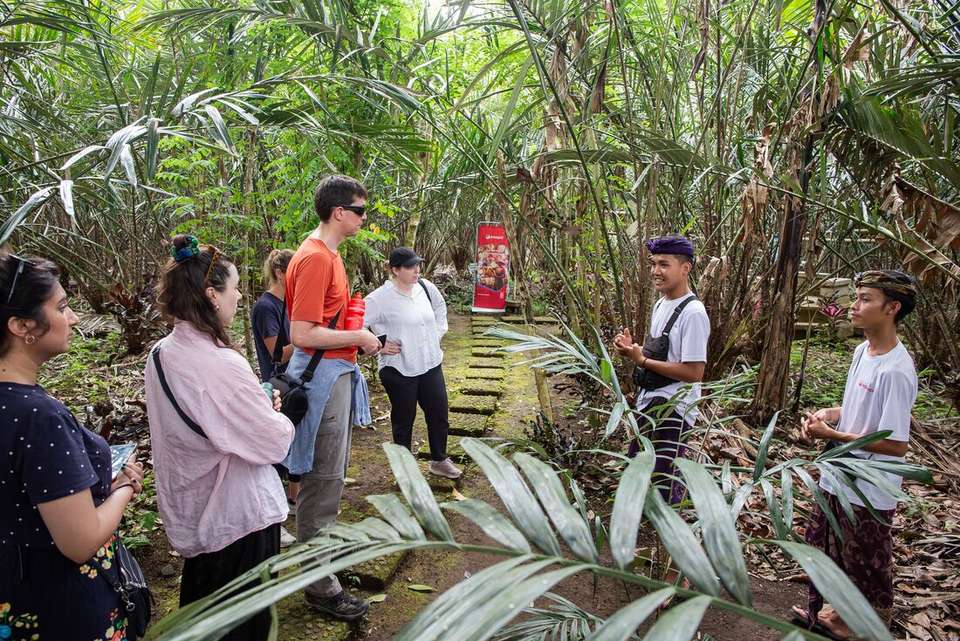 Bali & Lombok Adventure - Intrepid Travel - Indonesia - Image 8