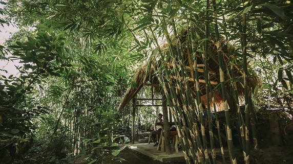 Image 5 of 5