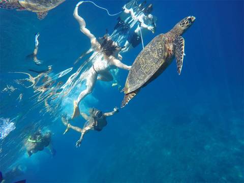 Indonesia Guided And Escorted Tours: Bali Group Exploration 12d/11n