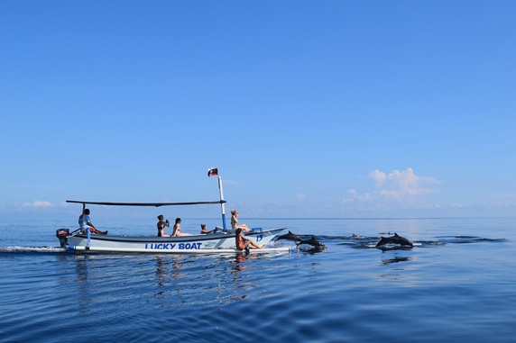 Image 4 of 6