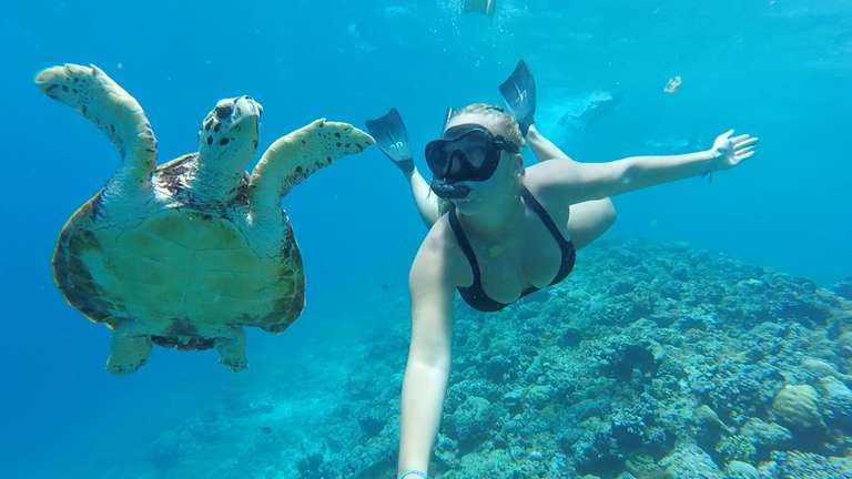 Indonesia Guided and Escorted Tours: Bali Intro 9 day