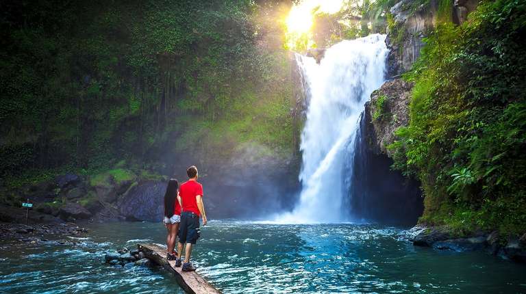 Bali Jungle Swing, Luwak Coffee & Waterfalls trip - alternative tour available
