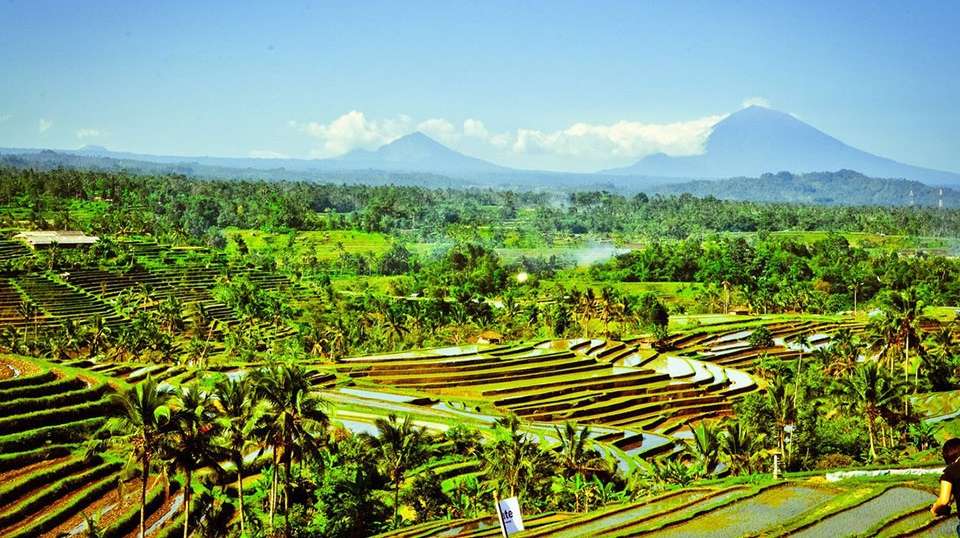 Bali MTB Boot Camp - Infinity Mountain Biking - Indonesia - Image 5