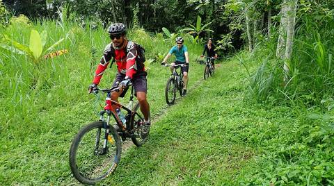 Indonesia Guided And Escorted Tours: Bali Multi-activity Trip With Java