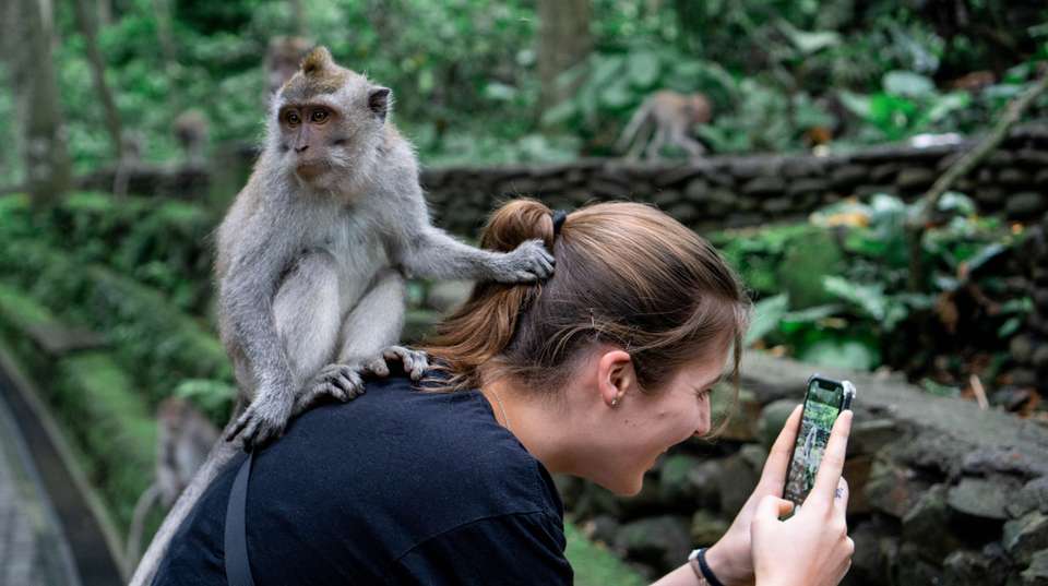 Bali One Life Adventures - 12 Days - One Life Adventures Ltd - Indonesia - Image 2