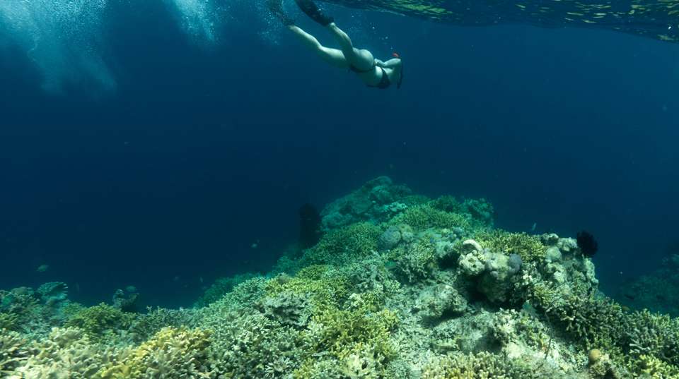 Bali One Life Adventures - 12 Days - One Life Adventures Ltd - Indonesia - Image 6