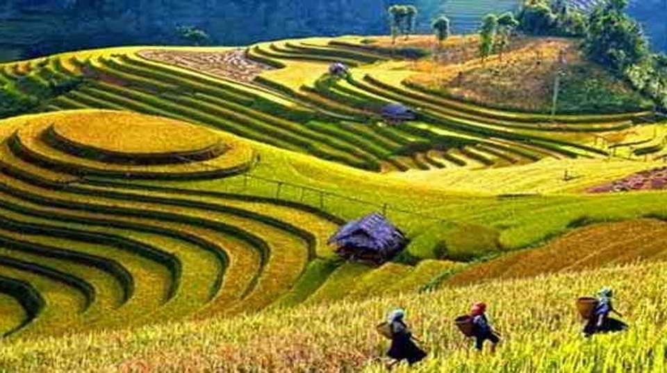 Bali Round Trip - Adventure Indonesia - Indonesia - Image 8