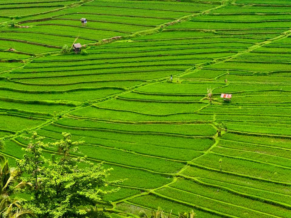 Bali to Flores: Trails, Tribal Villages & Dragon Lagoons - G Adventures - Indonesia