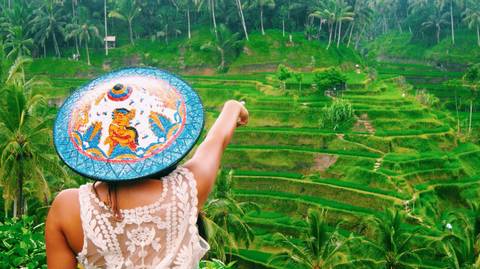 Bali Ubud Tours - 8 Hours