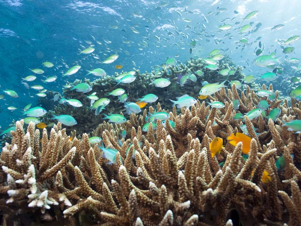 Bali Adventure - 12 days - On The Go Tours - Indonesia