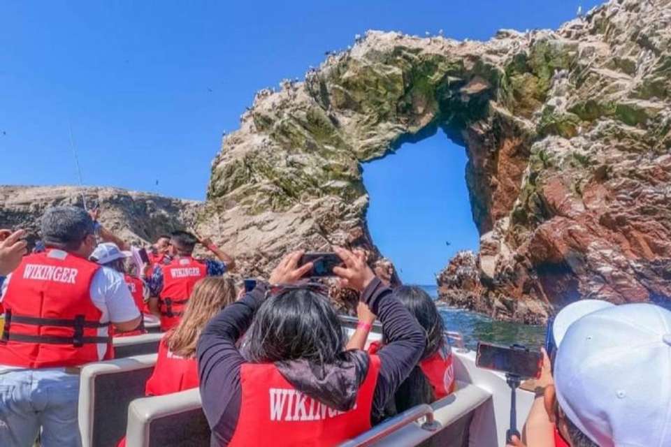 Ballestas Island and Paracas National Reserve from San Martin Port - Tangol Tours - Peru - Image 3