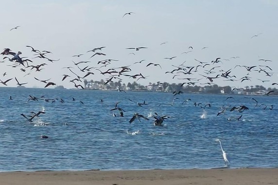 Image 5 of 8