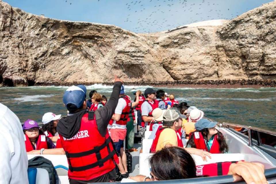 Ballestas Island and Paracas National Reserve from San Martin Port - Tangol Tours - Peru - Image 7