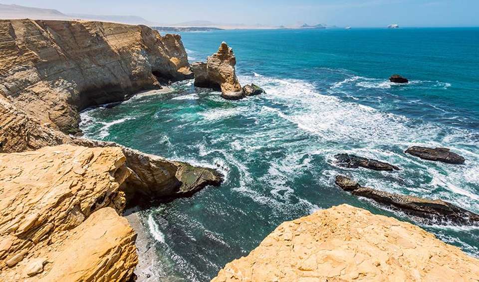 Ballestas Islands & Paracas National Reserve Day Trip (from Paracas) - undefined - Image 5