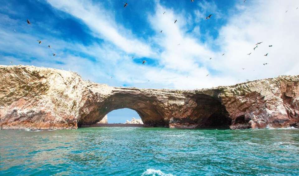 Ballestas Islands Sightseeing Boat Ride (from Paracas) - Bamba - peru - Image 4