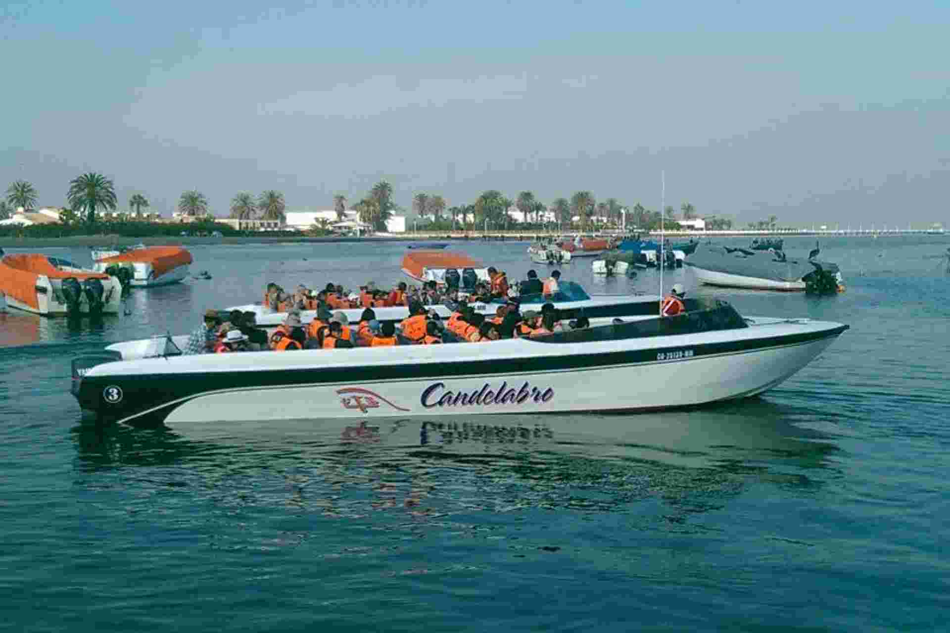 Ballestas Islands Sigthseeing Tour with transfers in Paracas