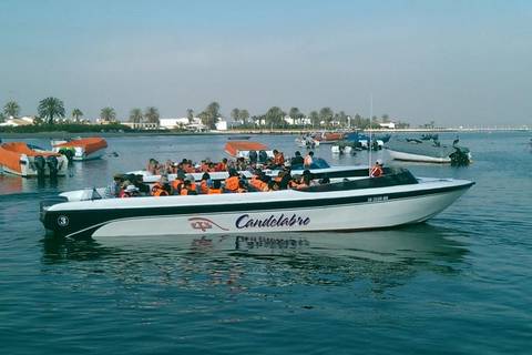 Ballestas Islands Sigthseeing Tour With Transfers In Paracas - 1 Day